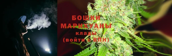 стафф Богданович