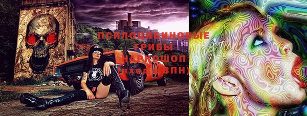 прущая мука Богородицк