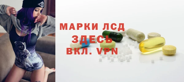 стафф Богданович