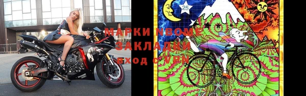 стафф Богданович