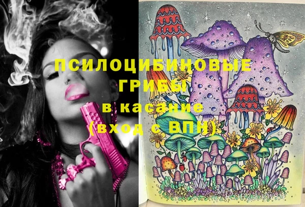 стафф Богданович