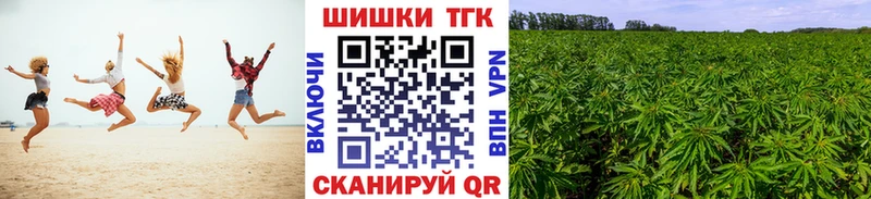 Бошки Шишки планчик  Новоржев 